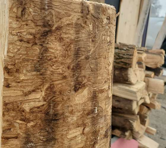 Split hardwood